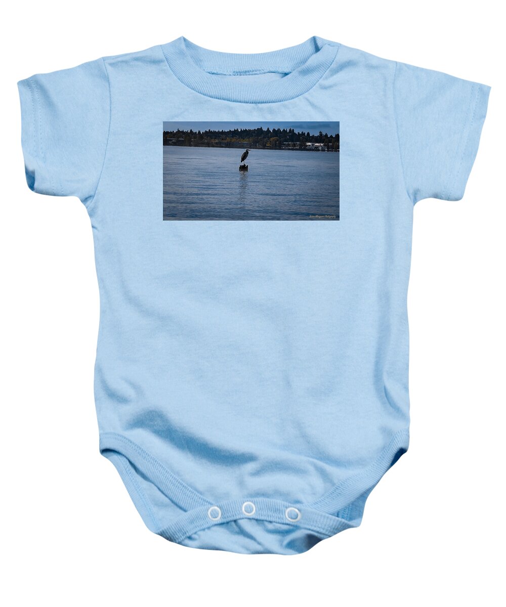 Seagull #1 - Baby Onesie