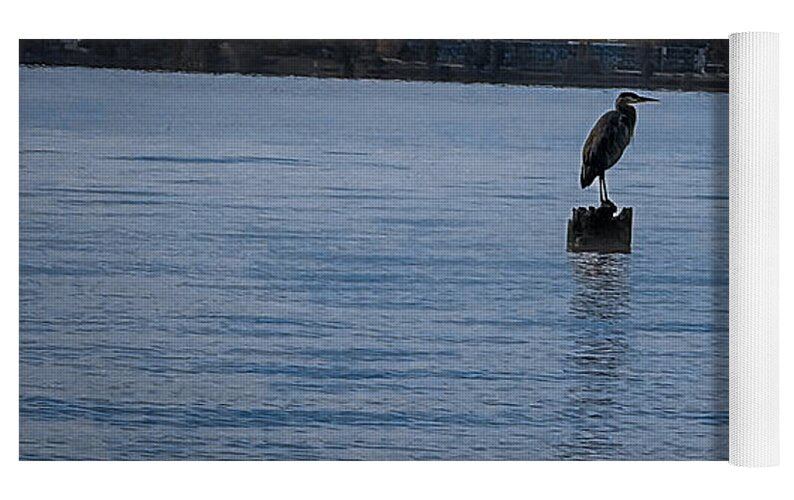 Seagull 1 - Yoga Mat