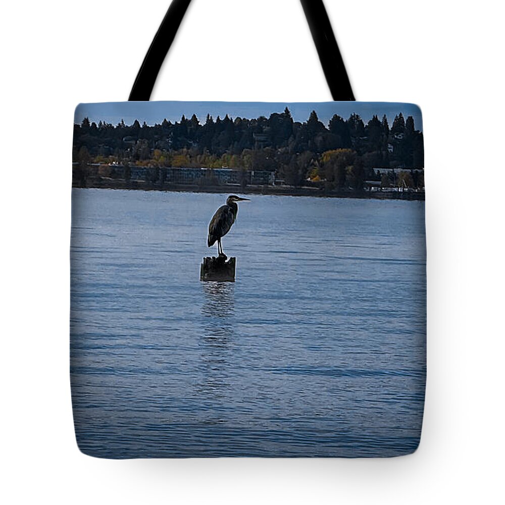 Seagull 1 - Tote Bag