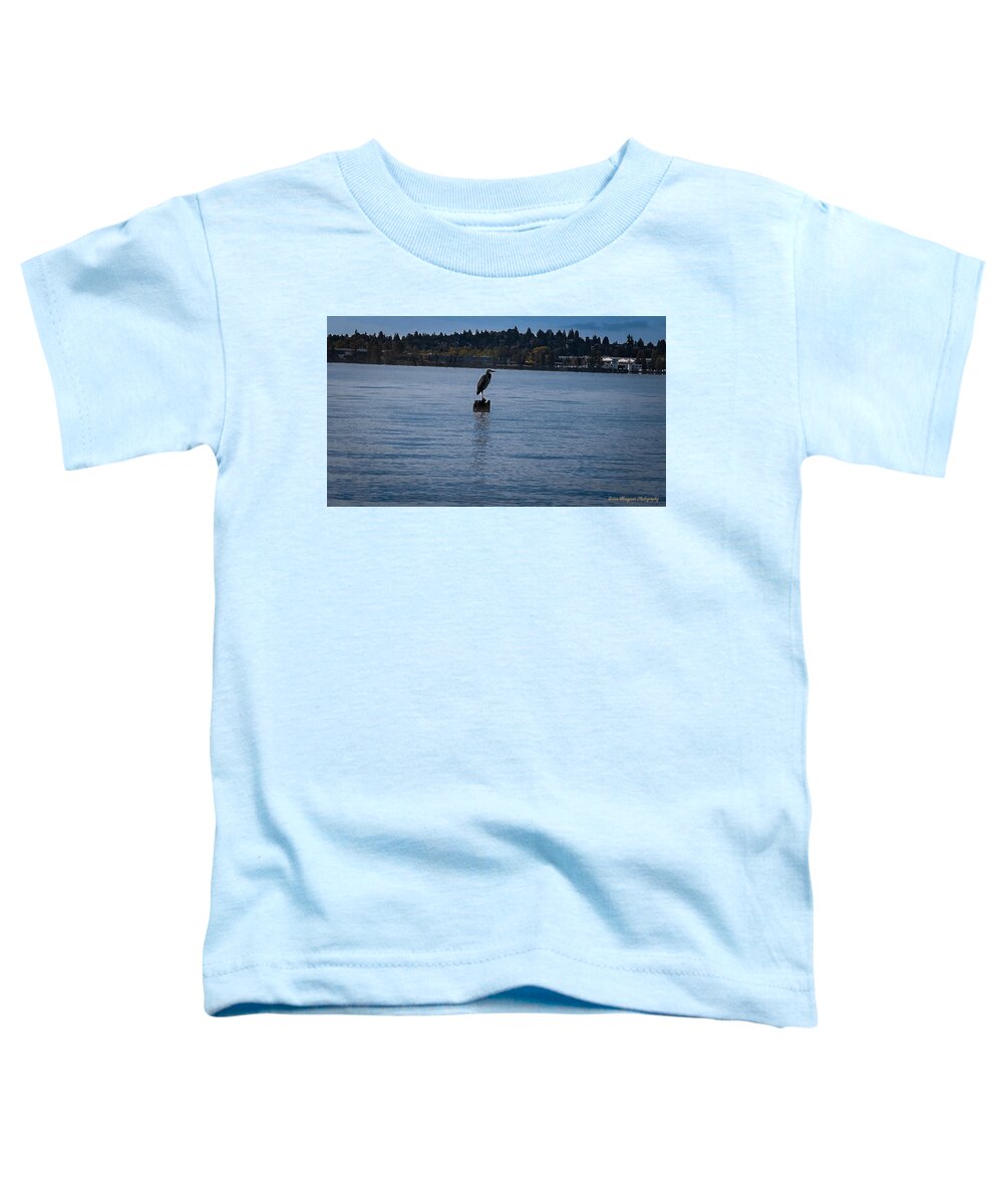 Seagull #1 - Toddler T-Shirt