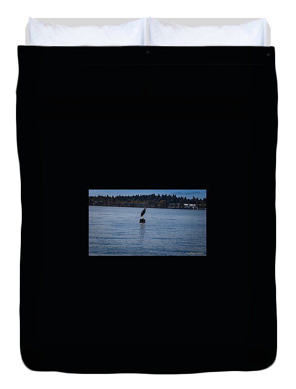 Seagull 1 - Duvet Cover