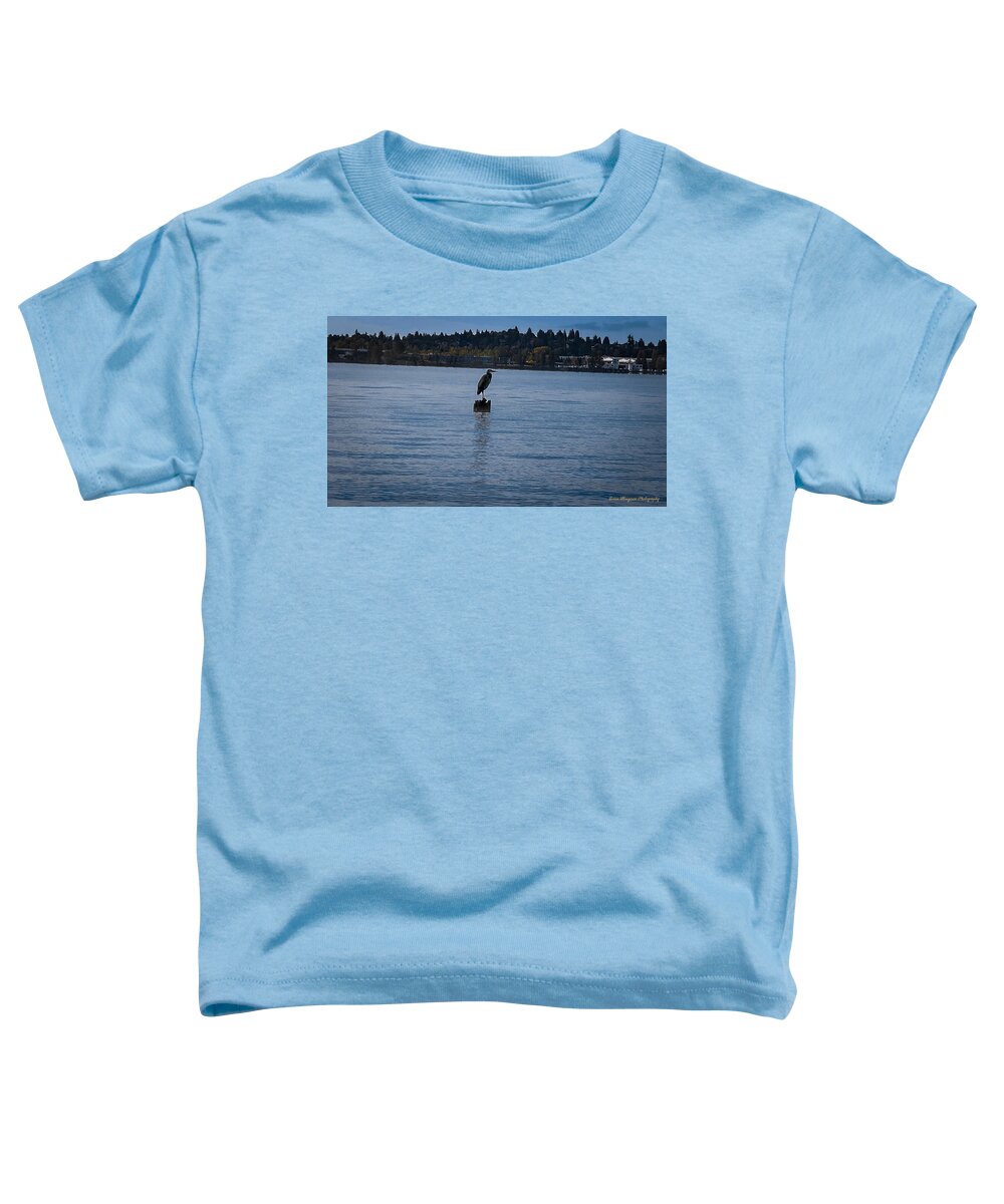 Seagull #1 - Toddler T-Shirt