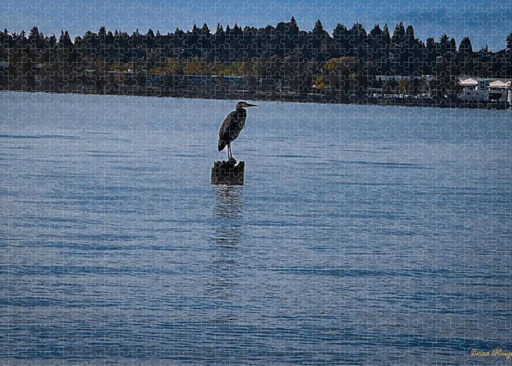 Seagull 1 - Puzzle