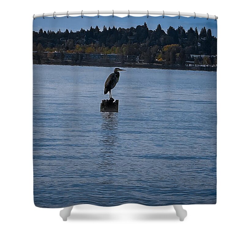 Seagull 1 - Shower Curtain