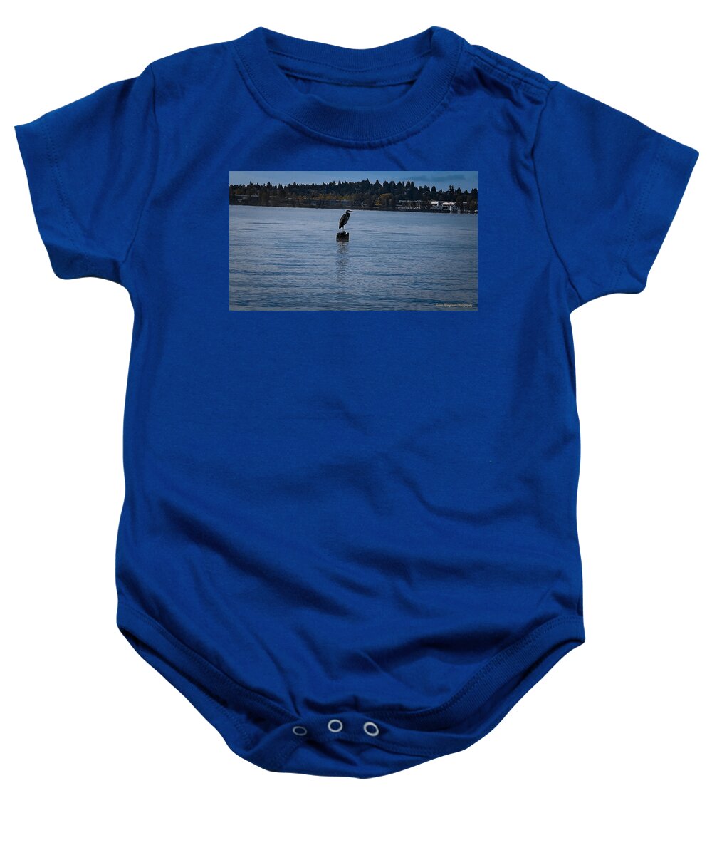 Seagull #1 - Baby Onesie