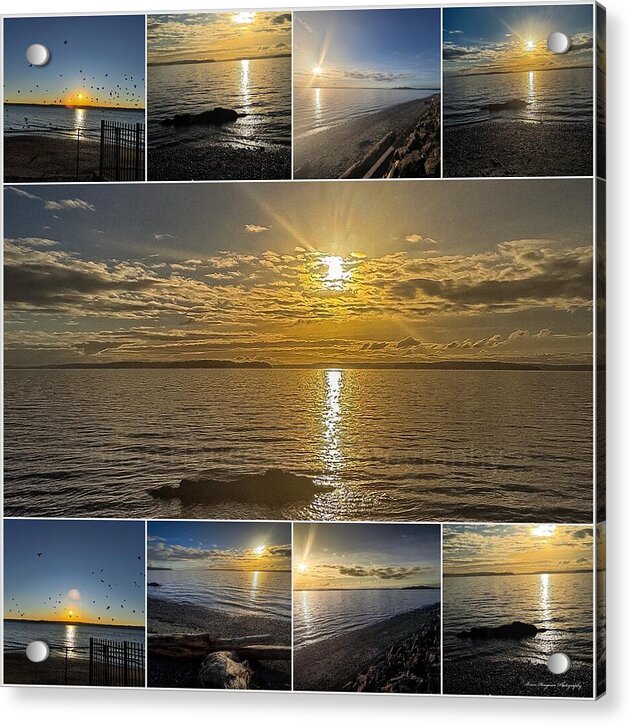 Sunsets 1 - Acrylic Print