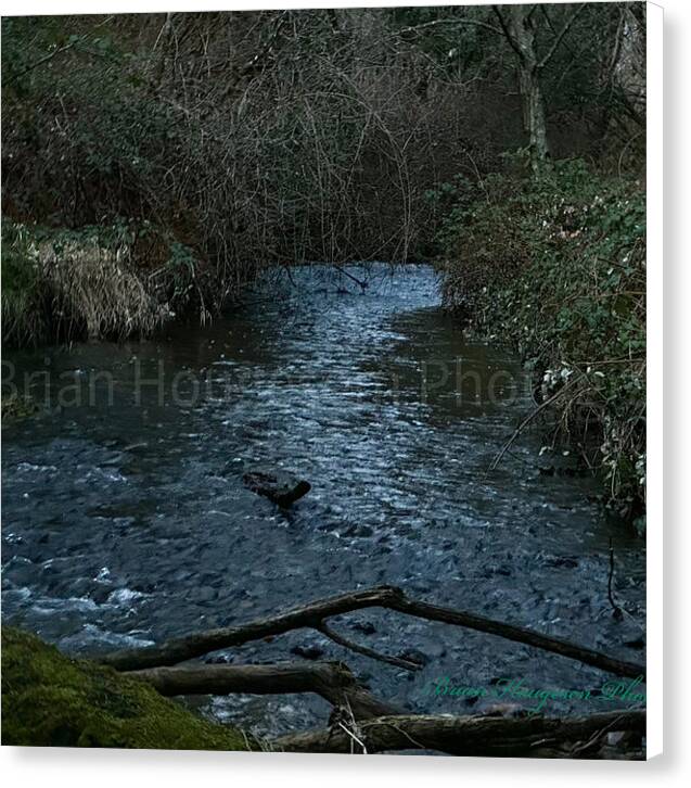 Water 1 - Canvas Print