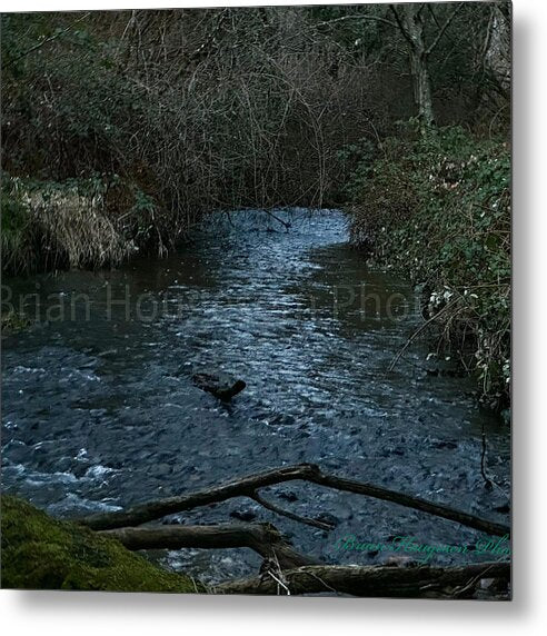 Water 1 - Metal Print