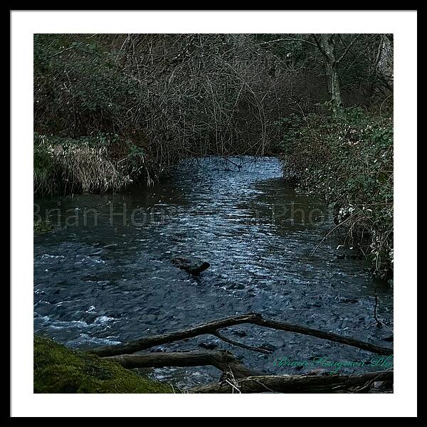 Water 1 - Framed Print