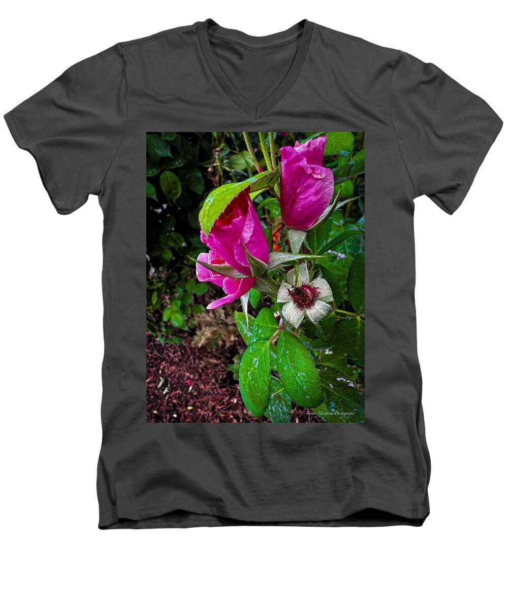 After the rain - Men's V-Neck T-Shirt