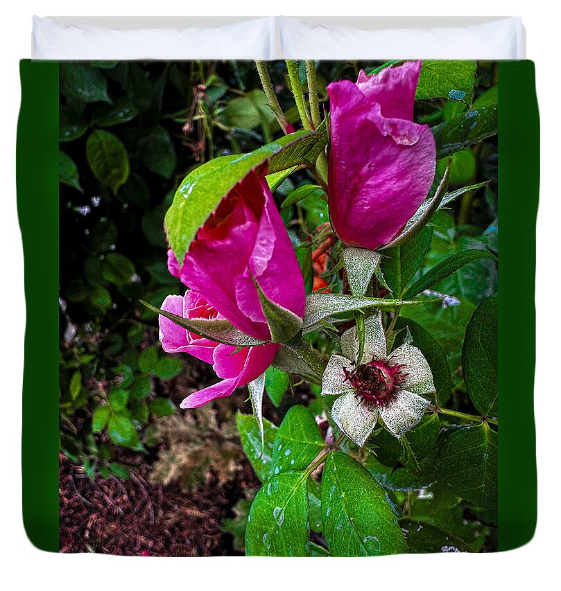 After the rain - Duvet Cover