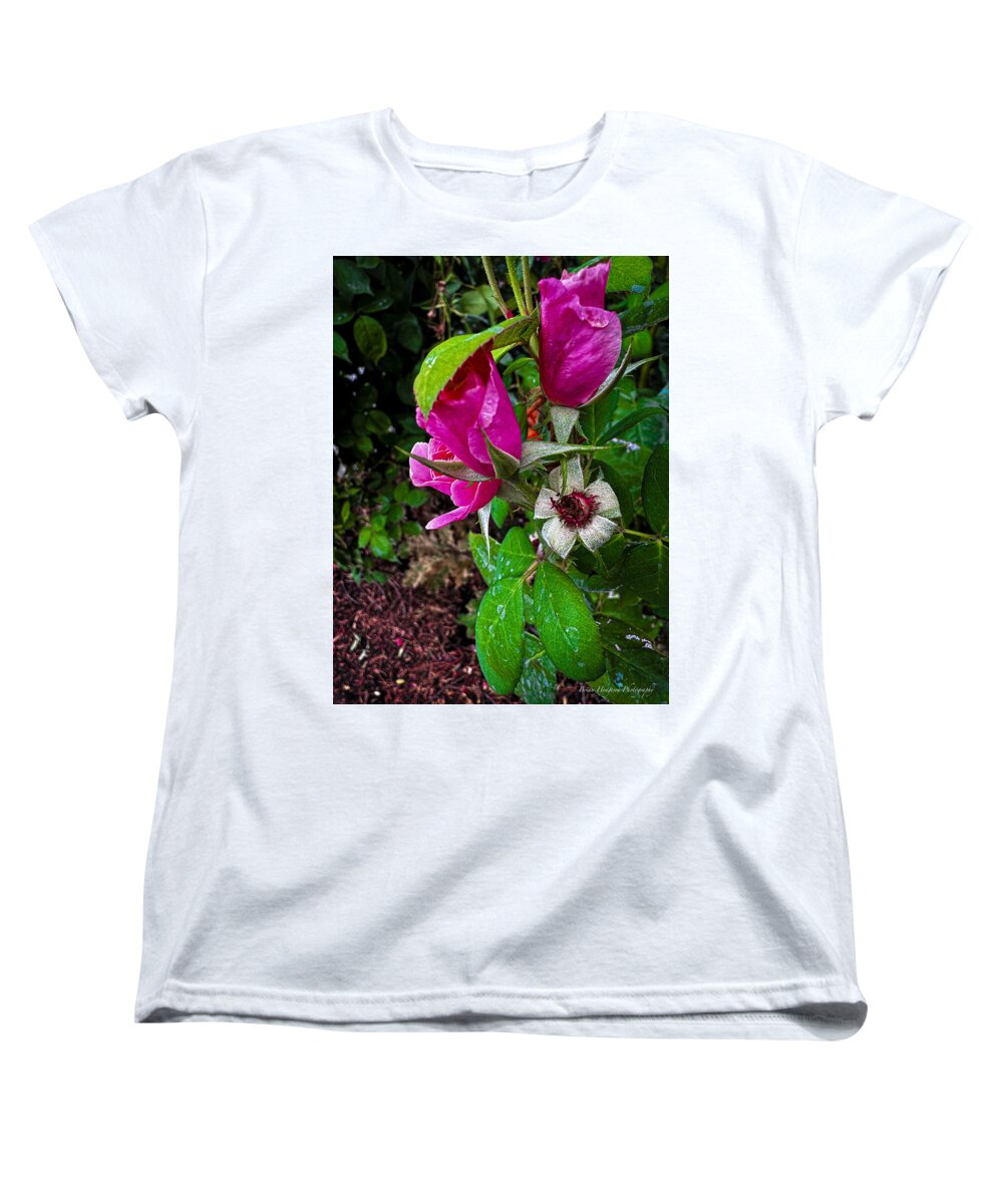 After the rain - Women's T-Shirt (Standard Fit)
