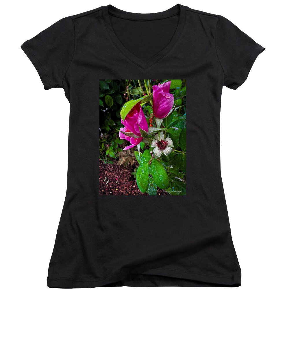 After the rain - Women's V-Neck