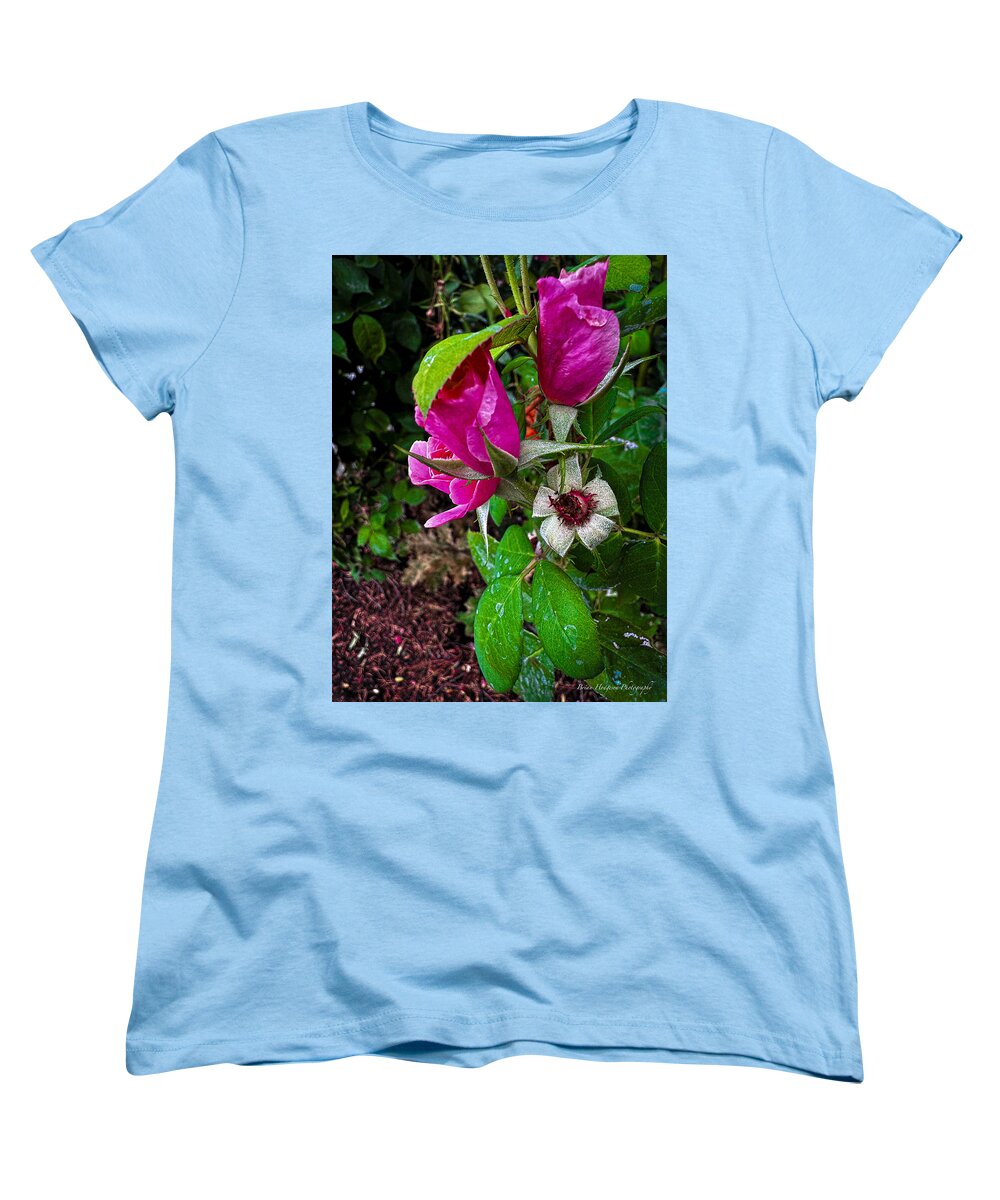 After the rain - Women's T-Shirt (Standard Fit)