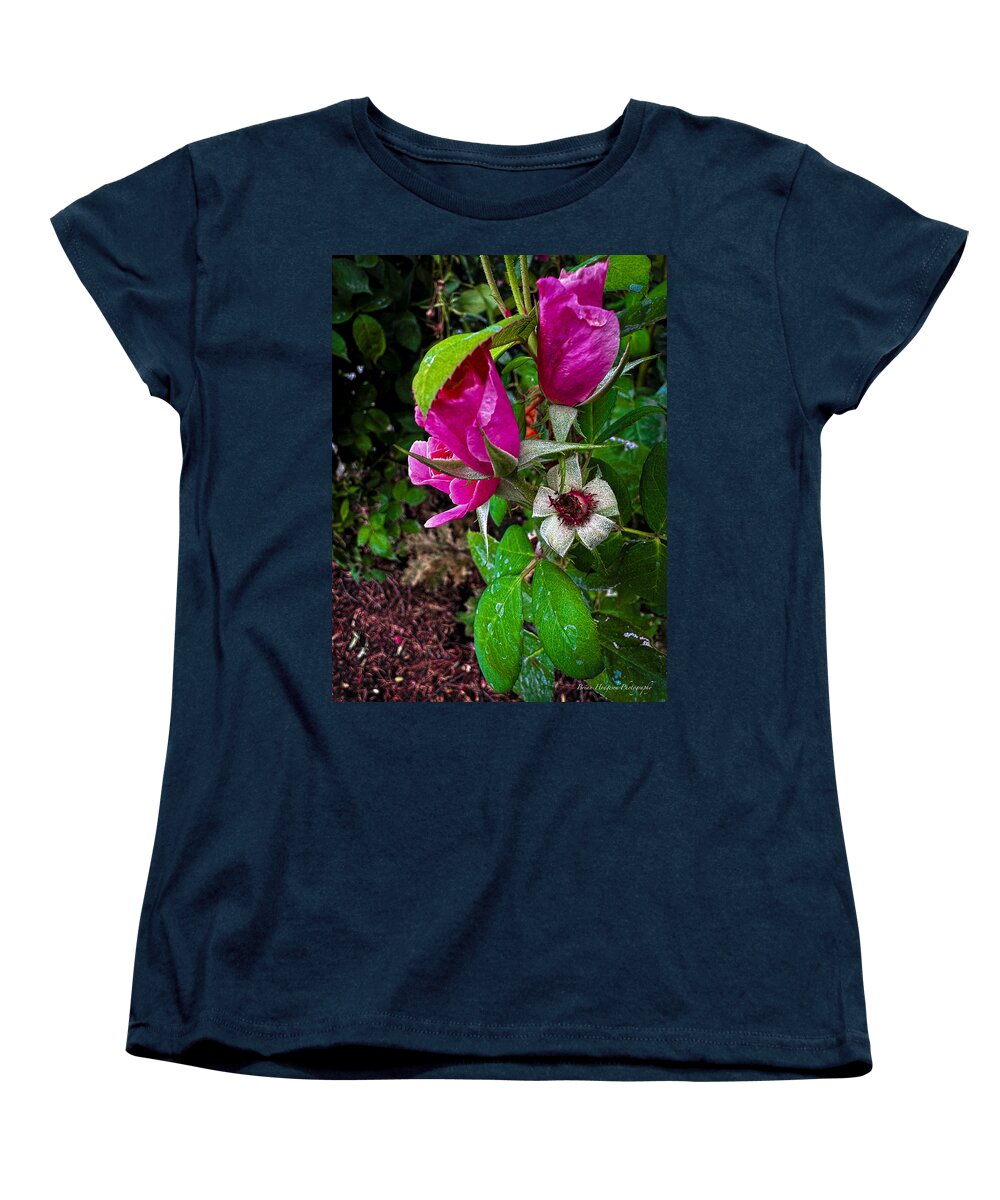 After the rain - Women's T-Shirt (Standard Fit)