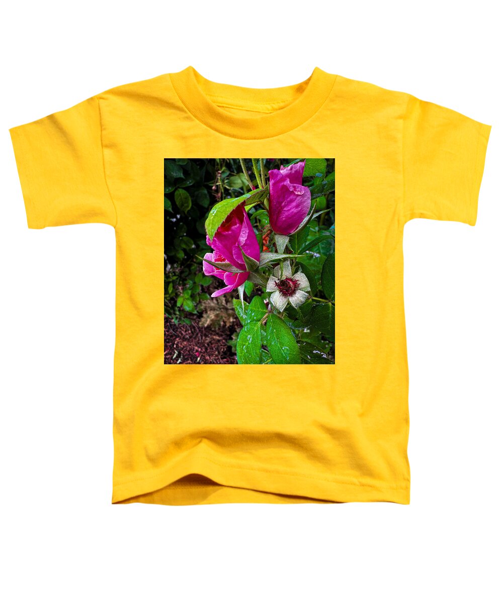 After the rain - Toddler T-Shirt