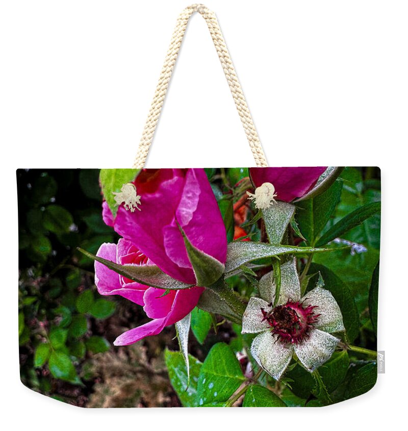 After the rain - Weekender Tote Bag