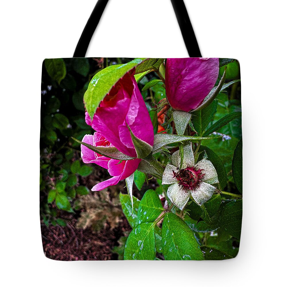 After the rain - Tote Bag