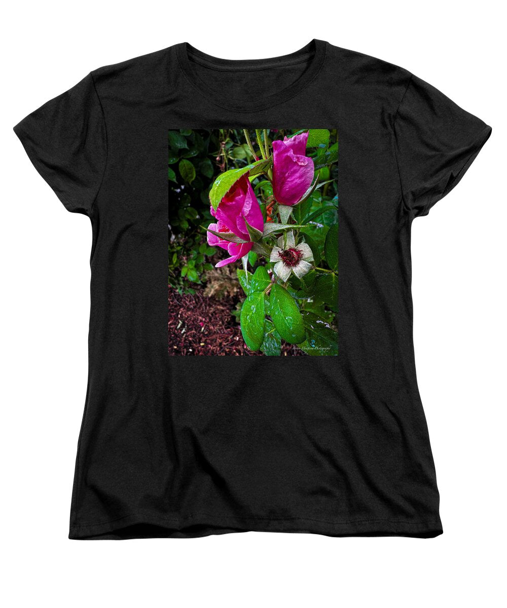 After the rain - Women's T-Shirt (Standard Fit)