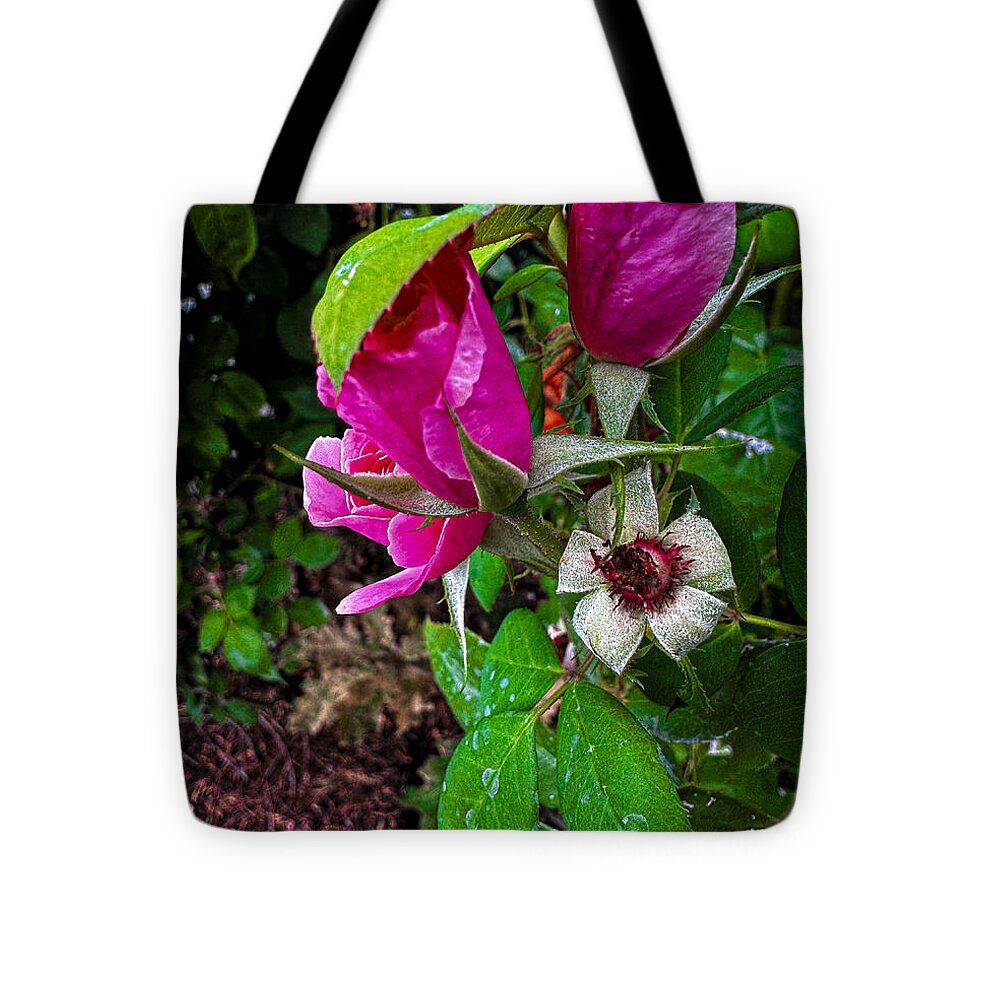 After the rain - Tote Bag