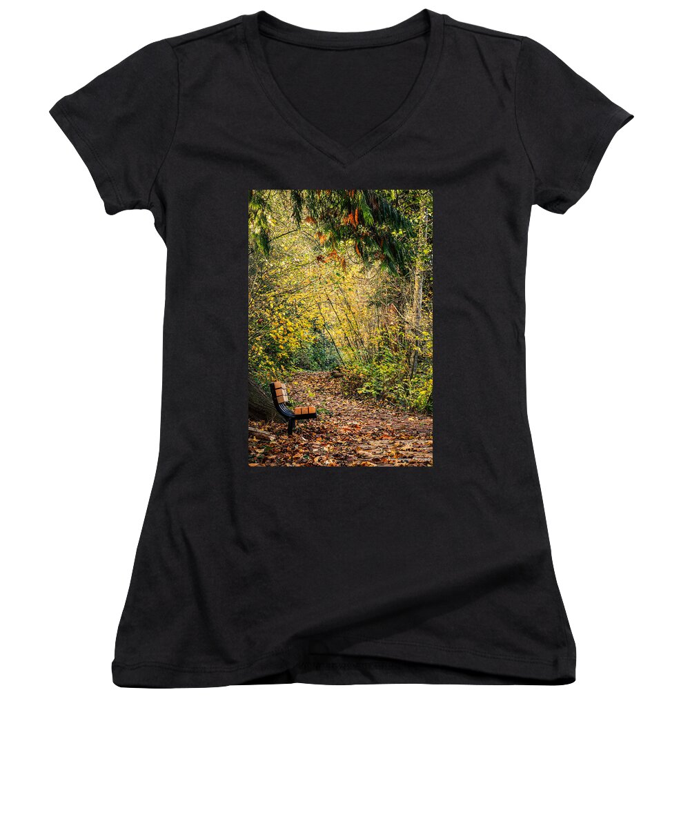 Autim walk - Women's V-Neck