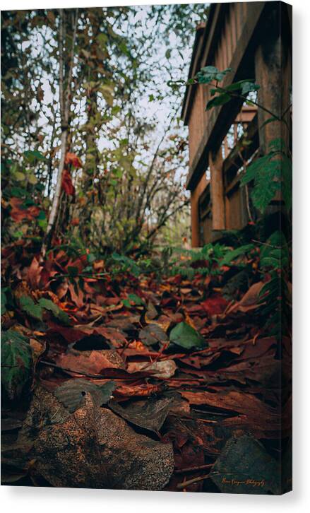Autum leaves - Canvas Print