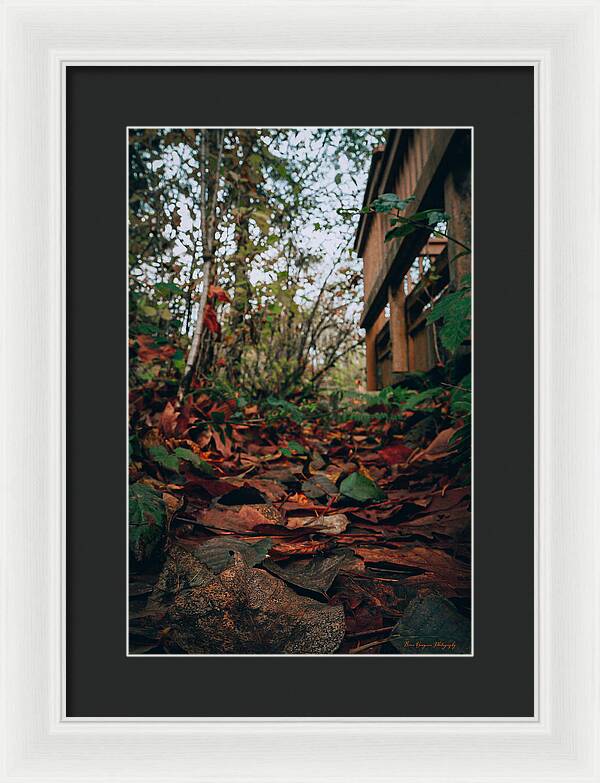 Autum leaves - Framed Print