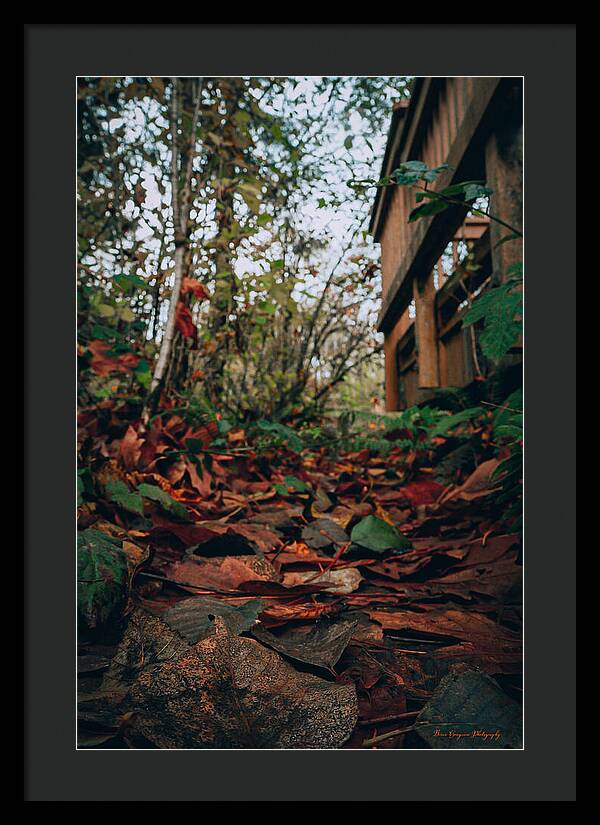 Autum leaves - Framed Print