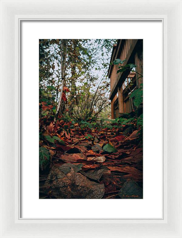 Autum leaves - Framed Print