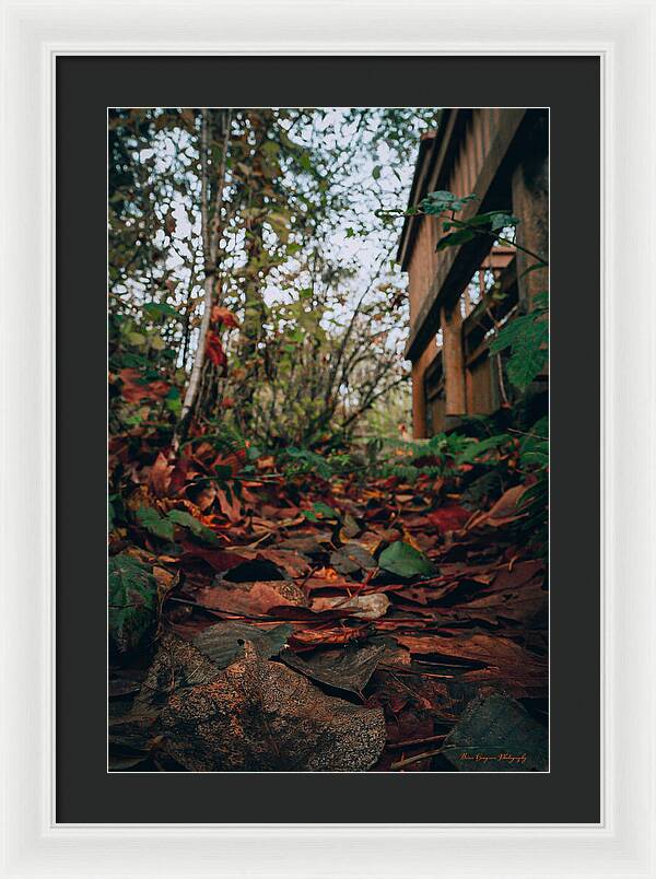 Autum leaves - Framed Print