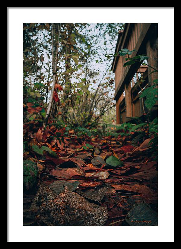 Autum leaves - Framed Print
