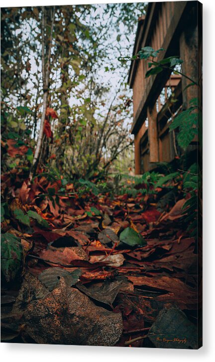 Autum leaves - Acrylic Print