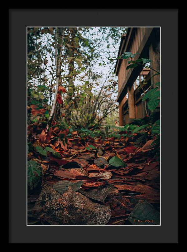 Autum leaves - Framed Print