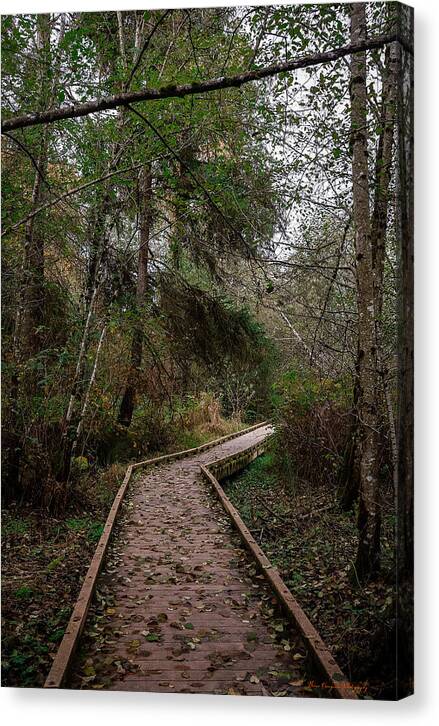 Autumn walk - Canvas Print