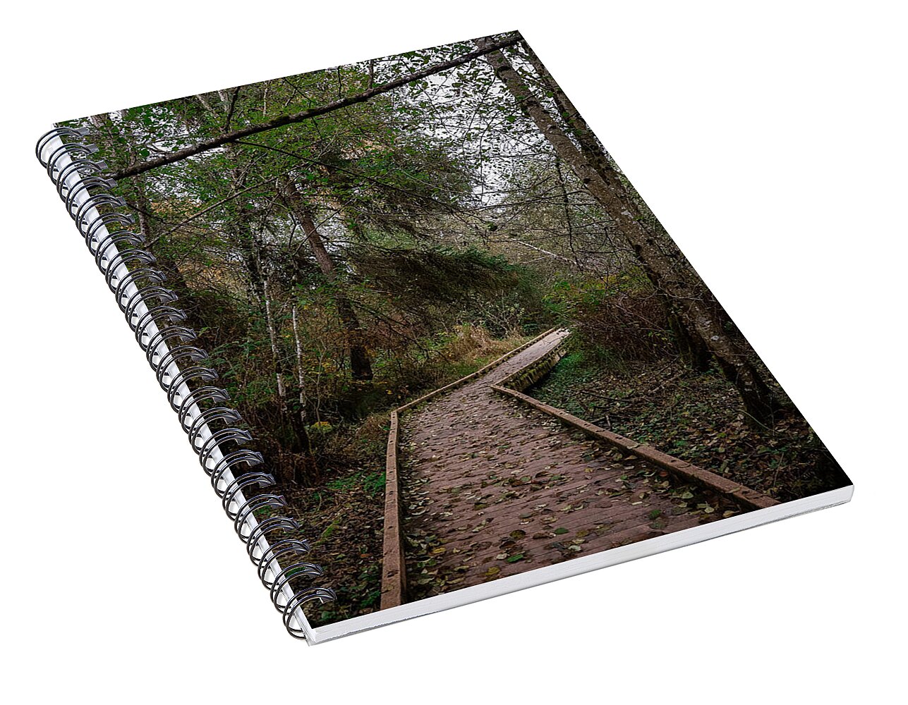 Autumn walk - Spiral Notebook