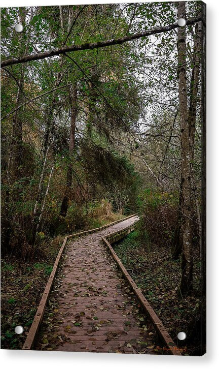 Autumn walk - Acrylic Print