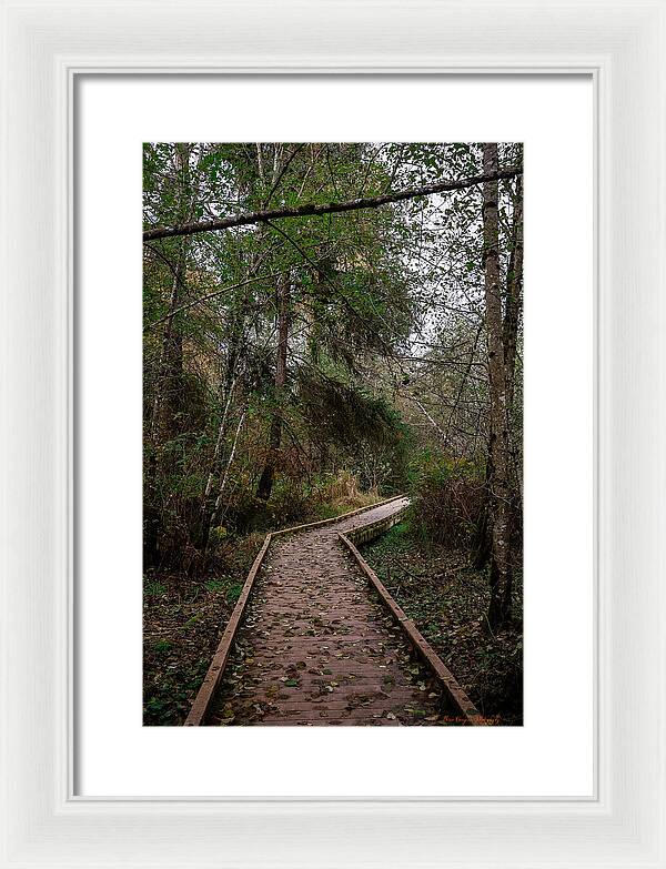 Autumn walk - Framed Print