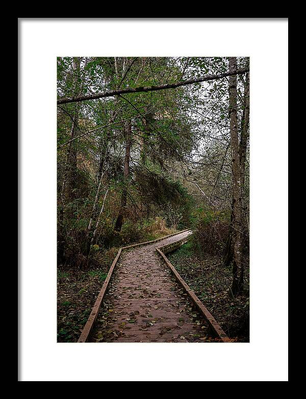 Autumn walk - Framed Print