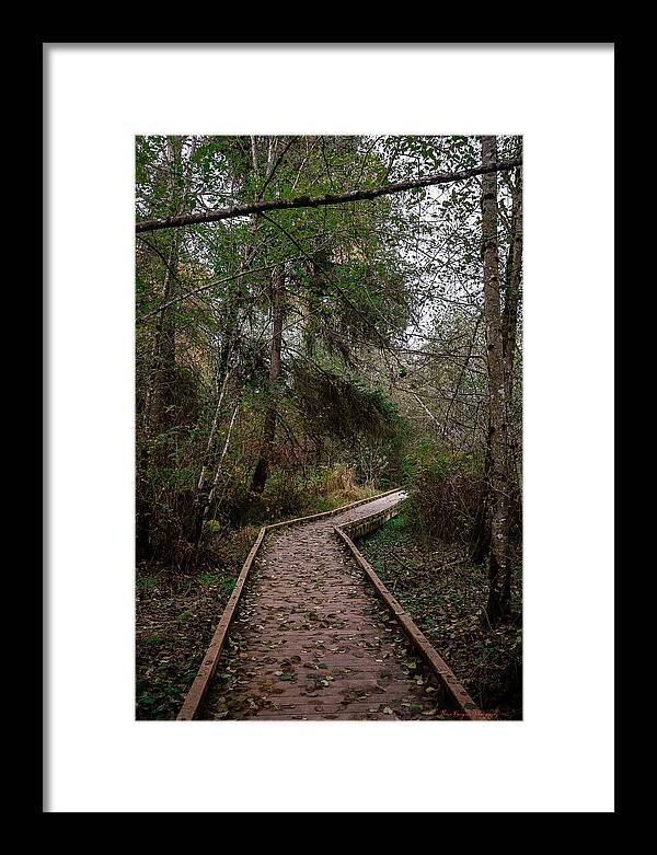 Autumn walk - Framed Print