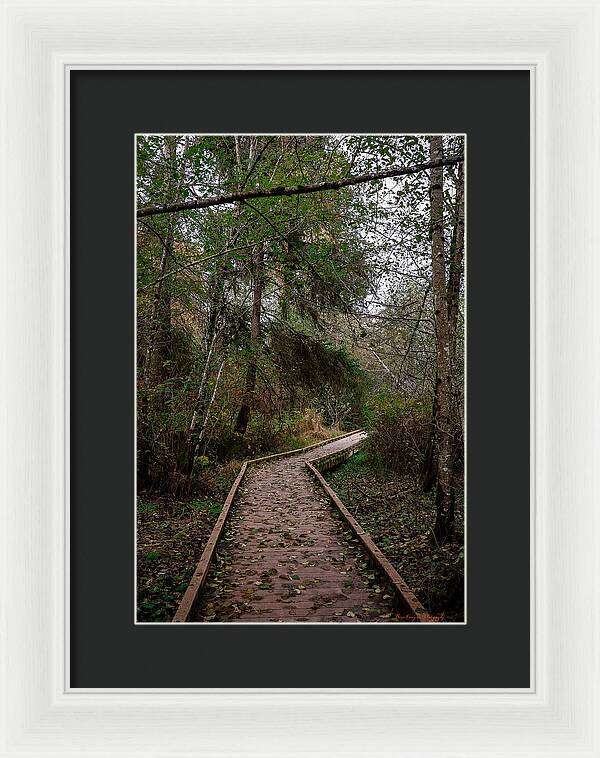 Autumn walk - Framed Print