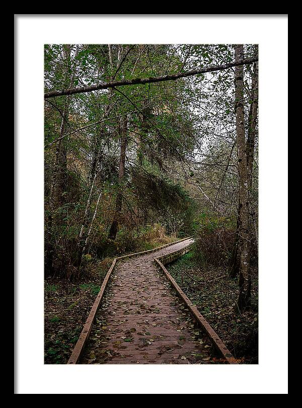 Autumn walk - Framed Print