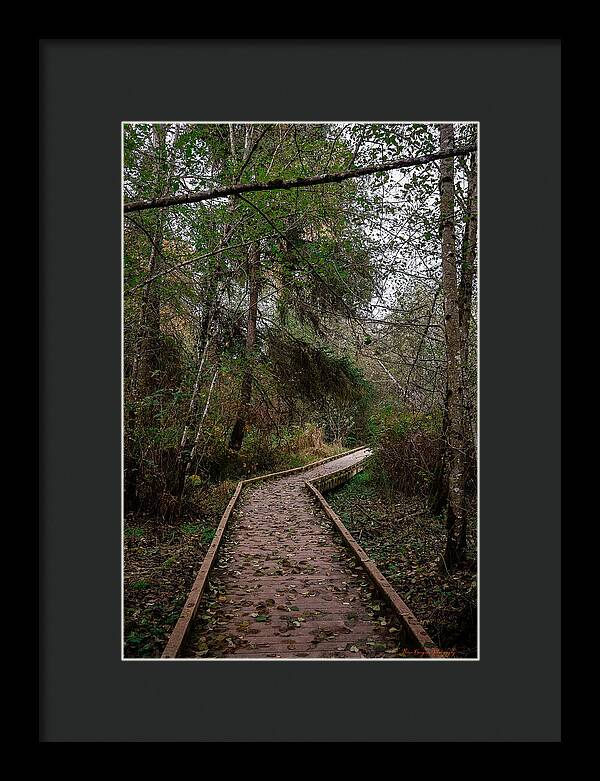 Autumn walk - Framed Print