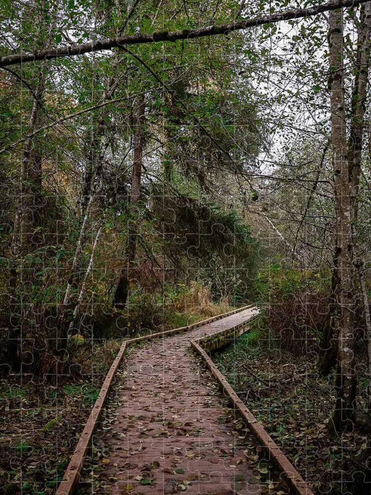 Autumn walk - Puzzle