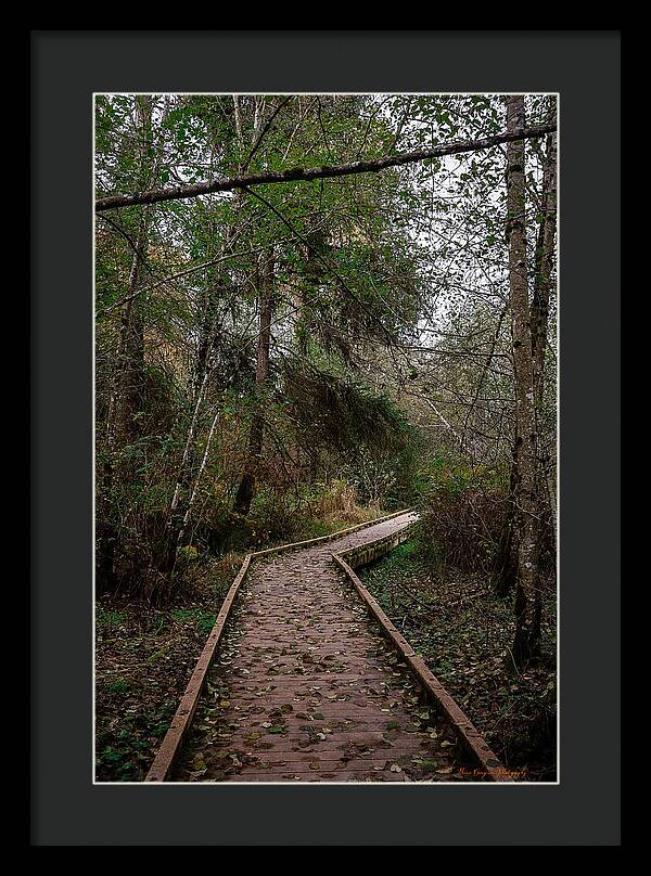 Autumn walk - Framed Print