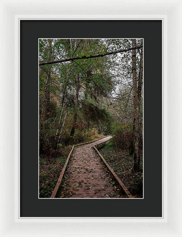 Autumn walk - Framed Print