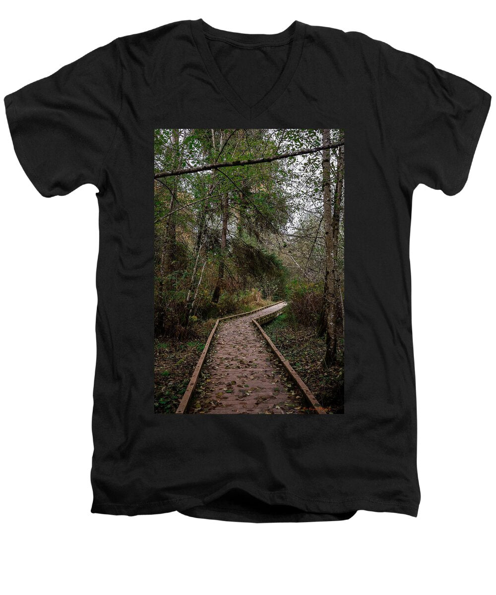 Autumn walk - Men's V-Neck T-Shirt