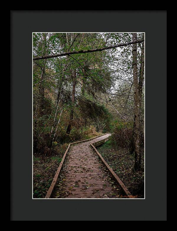 Autumn walk - Framed Print