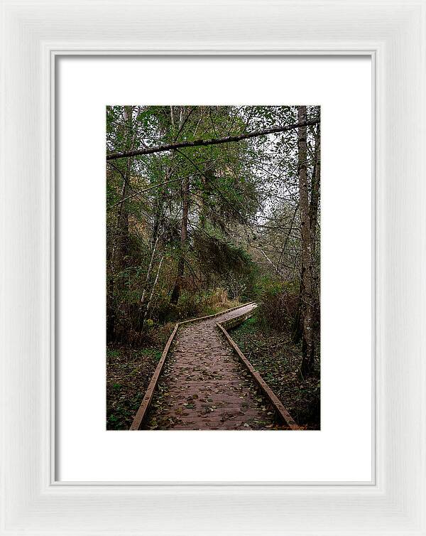 Autumn walk - Framed Print