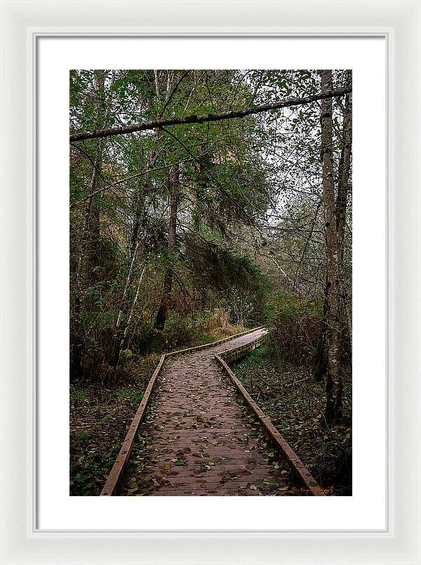 Autumn walk - Framed Print