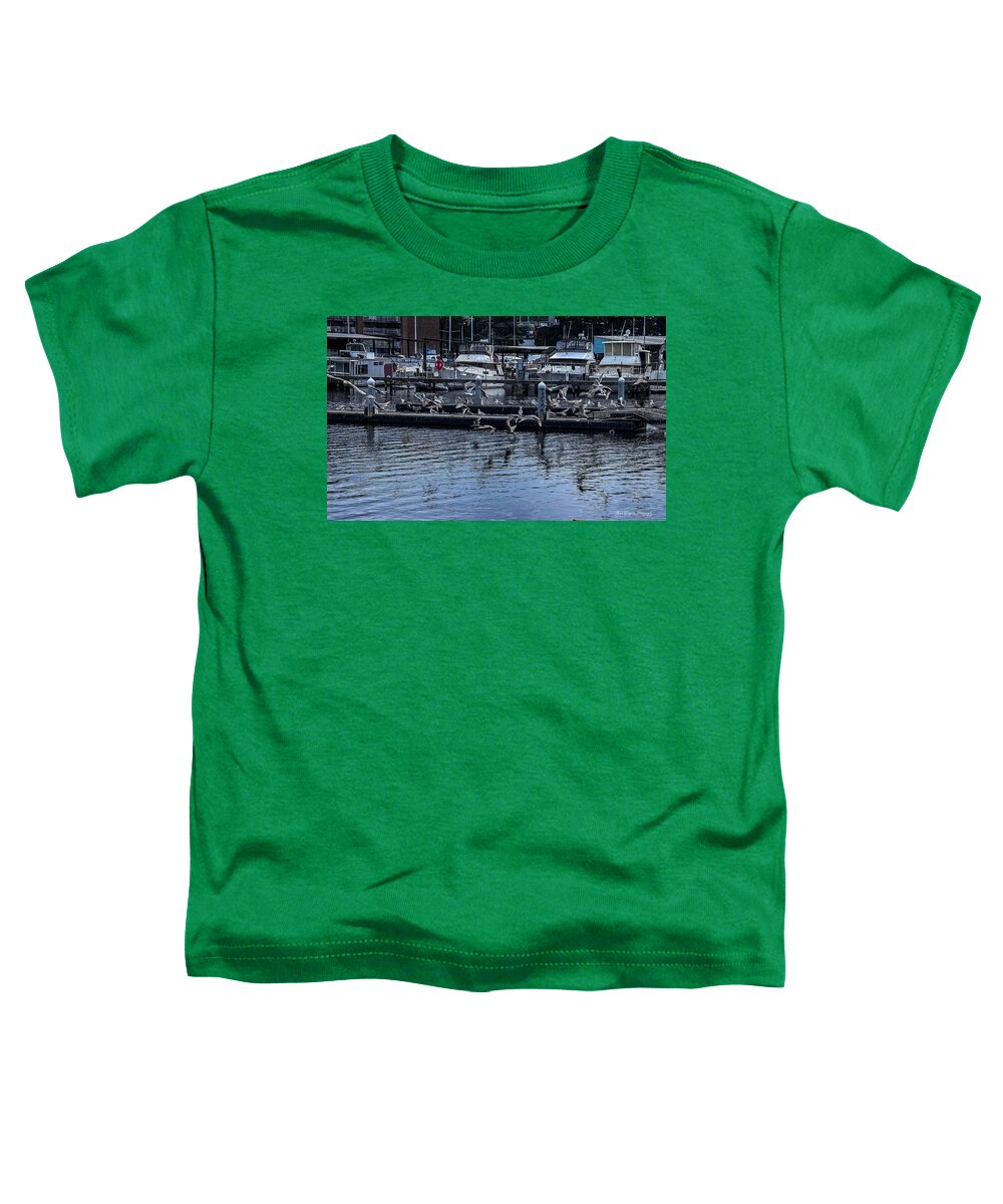 Birds at the Dock - Toddler T-Shirt